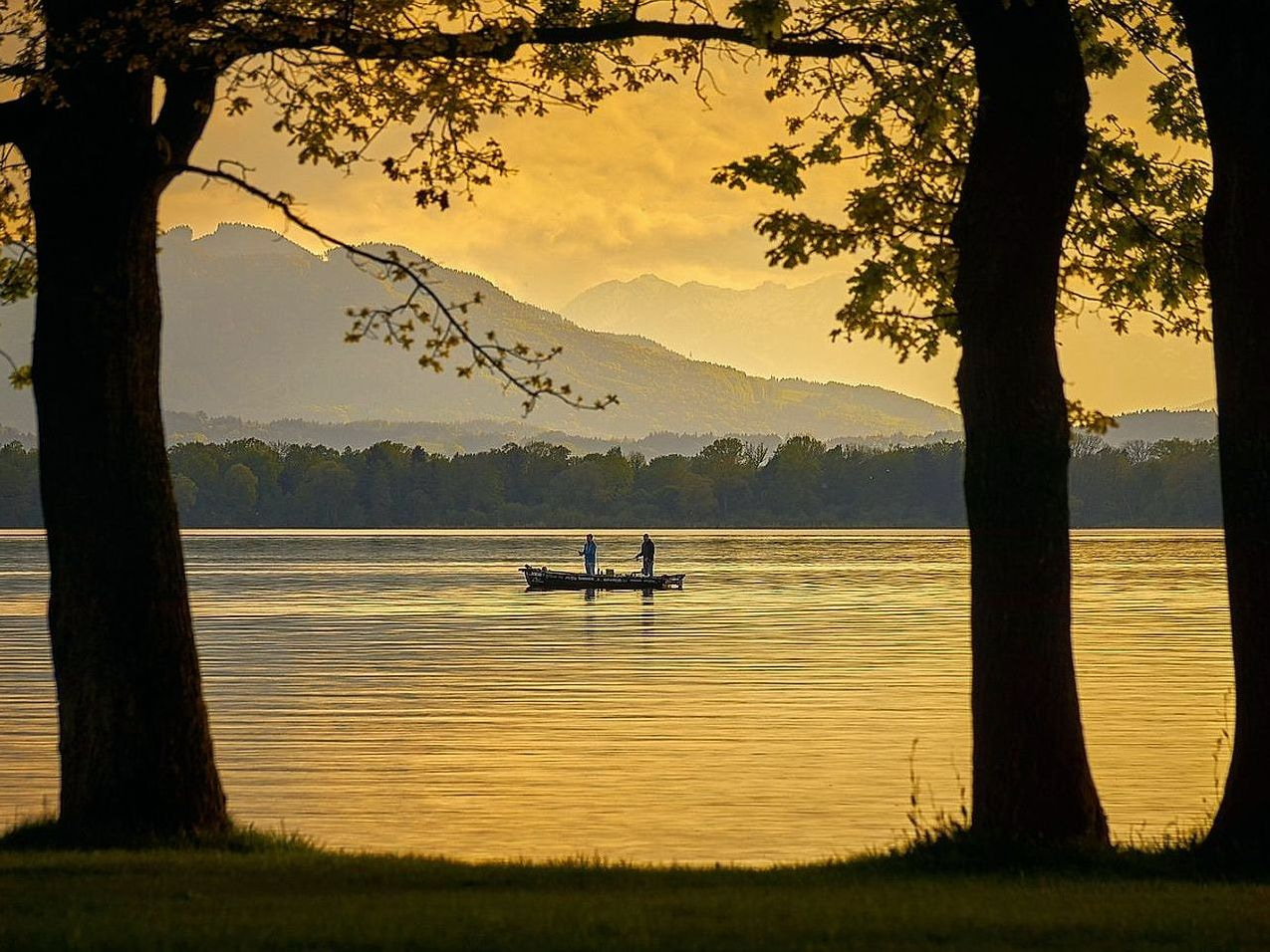 সম্পাদকীয় সামগ্রী প্রকল্প