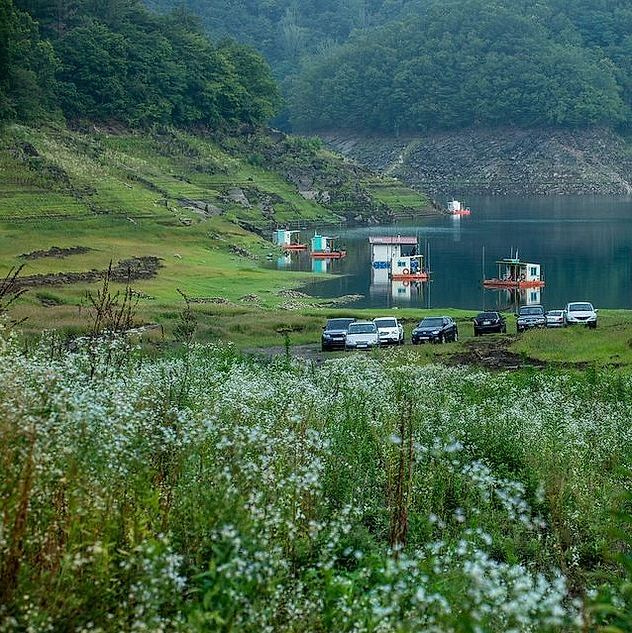 দলের সদস্যের প্রতিকৃতি